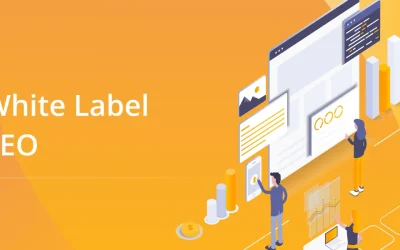 What Is White Label SEO? How Does It Work?