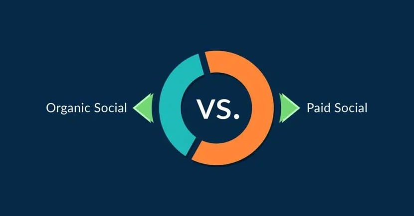 Organic Followers vs Paid Followers