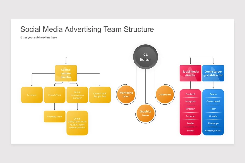 Structure of Team